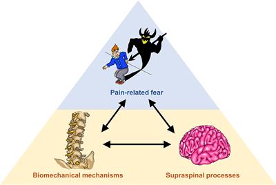 Identifying Motor Control Strategies and Their Role in Low Back Pain: A Cross-Disciplinary Approach Bridging Neurosciences With Movement Biomechanics